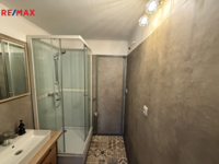 REMAX Delux