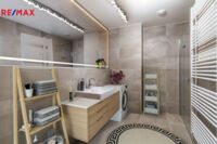 REMAX Delux