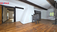 REMAX Delux