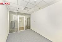 REMAX Delux