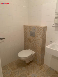 REMAX Brno