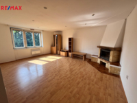 REMAX Delux