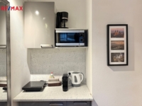 REMAX Brno