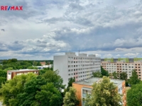 2900317.jpg