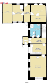 REMAX Delux