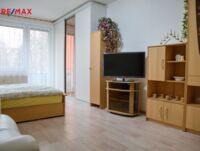 REMAX Delux