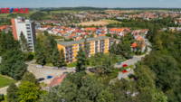 2943542.jpg