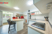 REMAX Delux