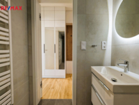 REMAX Delux