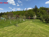 REMAX Delux