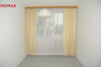 REMAX Delux