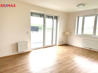REMAX Delux