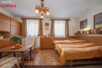 REMAX Delux