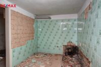 REMAX Delux