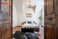REMAX Delux