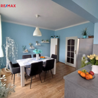 REMAX Delux