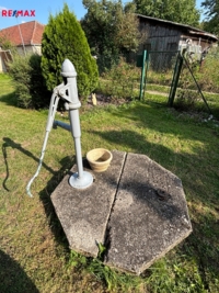 2938160.jpg