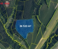 Prodej lesa, 66688 m2, Bílá