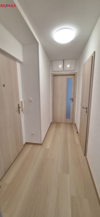 2932605.jpg