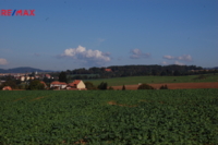REMAX Brno