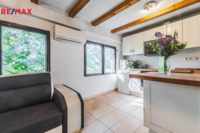 REMAX Delux
