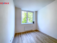 REMAX Delux