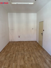 REMAX Delux
