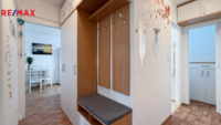 REMAX Delux