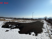 REMAX Delux