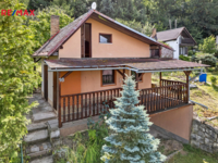 REMAX Delux