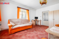 REMAX Delux