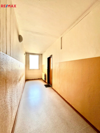 REMAX Delux