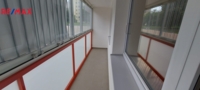 REMAX Delux
