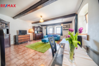 REMAX Brno