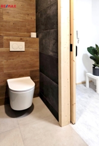 REMAX Delux