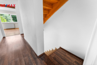 REMAX Delux