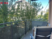 REMAX Delux
