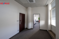 REMAX Delux
