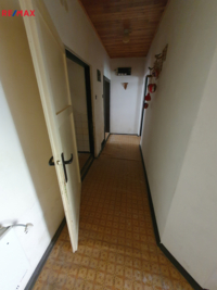 REMAX Delux