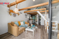 REMAX Delux