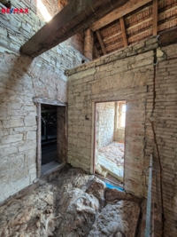 2942496.jpg