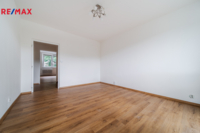 REMAX Delux