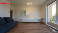 REMAX Delux
