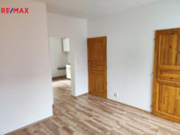 REMAX Delux