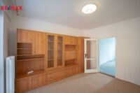 REMAX Delux