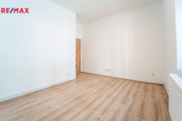 REMAX Delux