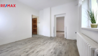 REMAX Delux
