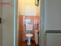 REMAX Delux