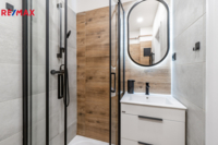 REMAX Delux