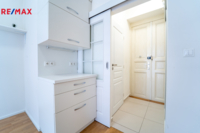 REMAX Delux